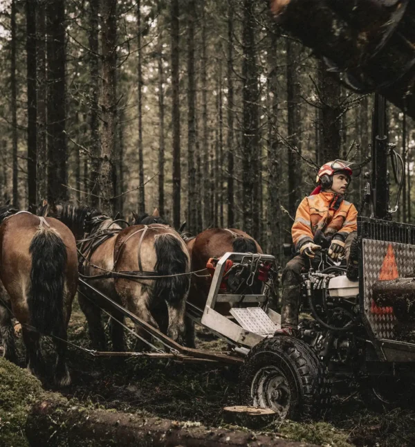 Ekstra utsnitt av Winter Pro Vinterhansker (produktet) i brukssituasjon