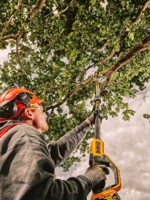 Ekstra utsnitt av DCMPS567 Grensag 18V XR Teleskopisk 3m (produktet) i brukssituasjon