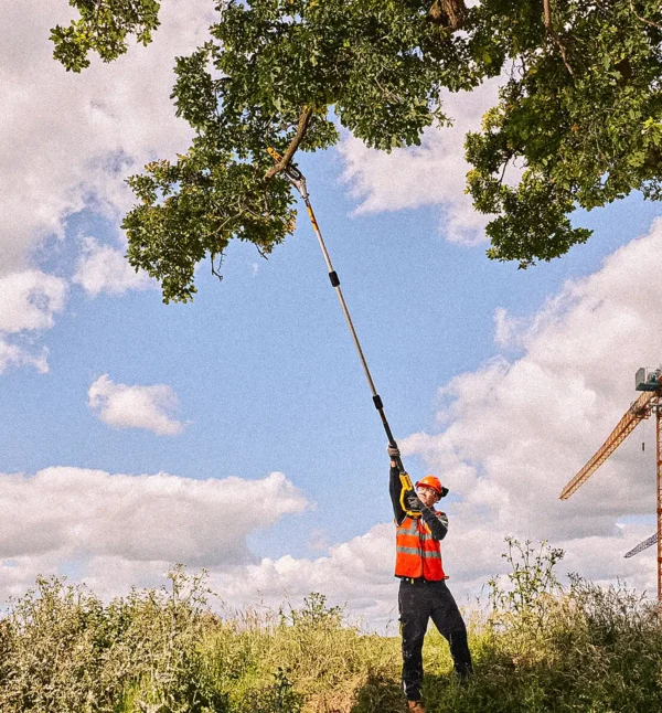 Ekstra utsnitt av DCMPS567 Grensag 18V XR Teleskopisk 3m (produktet) i brukssituasjon