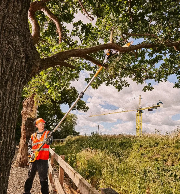 Ekstra utsnitt av DCMPS567 Grensag 18V XR Teleskopisk 3m (produktet) i brukssituasjon