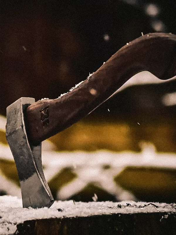Ekstra utsnitt av Vikingøksa 32