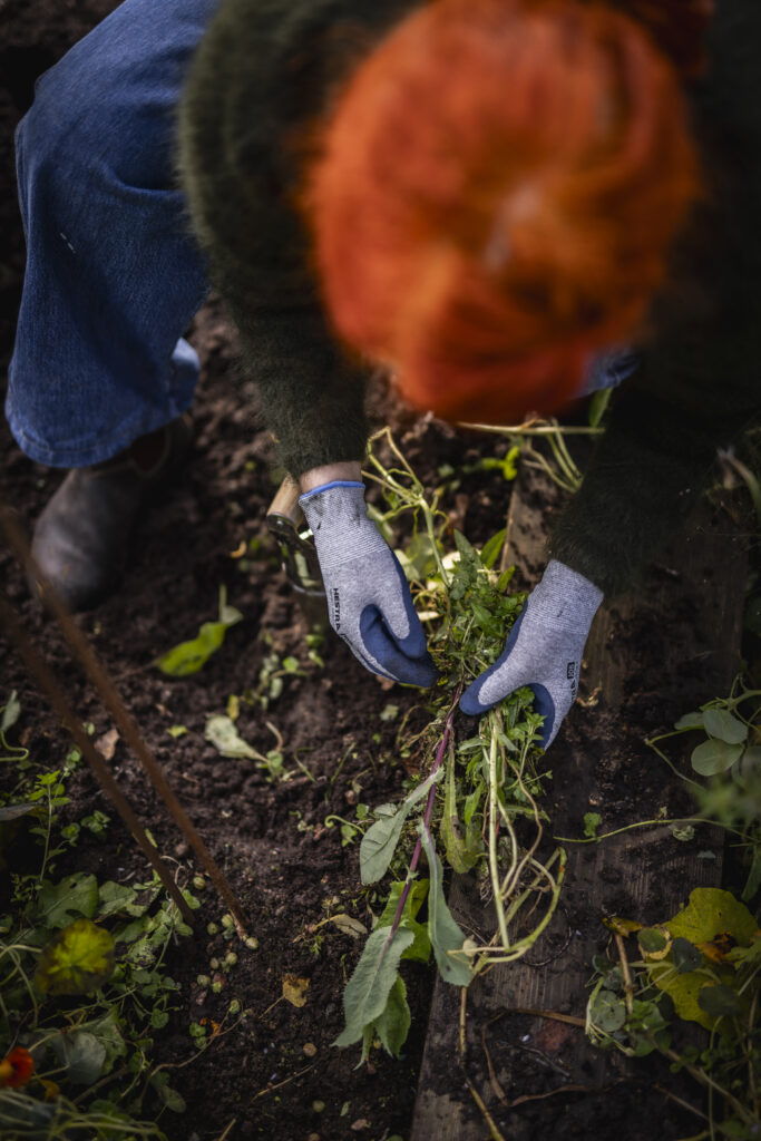 84537000370_Env-Brand_04