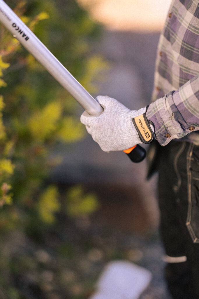 84537002260_Env-Segger_04